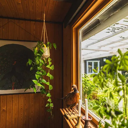 Holiday home Ideal For Nature And Peace
